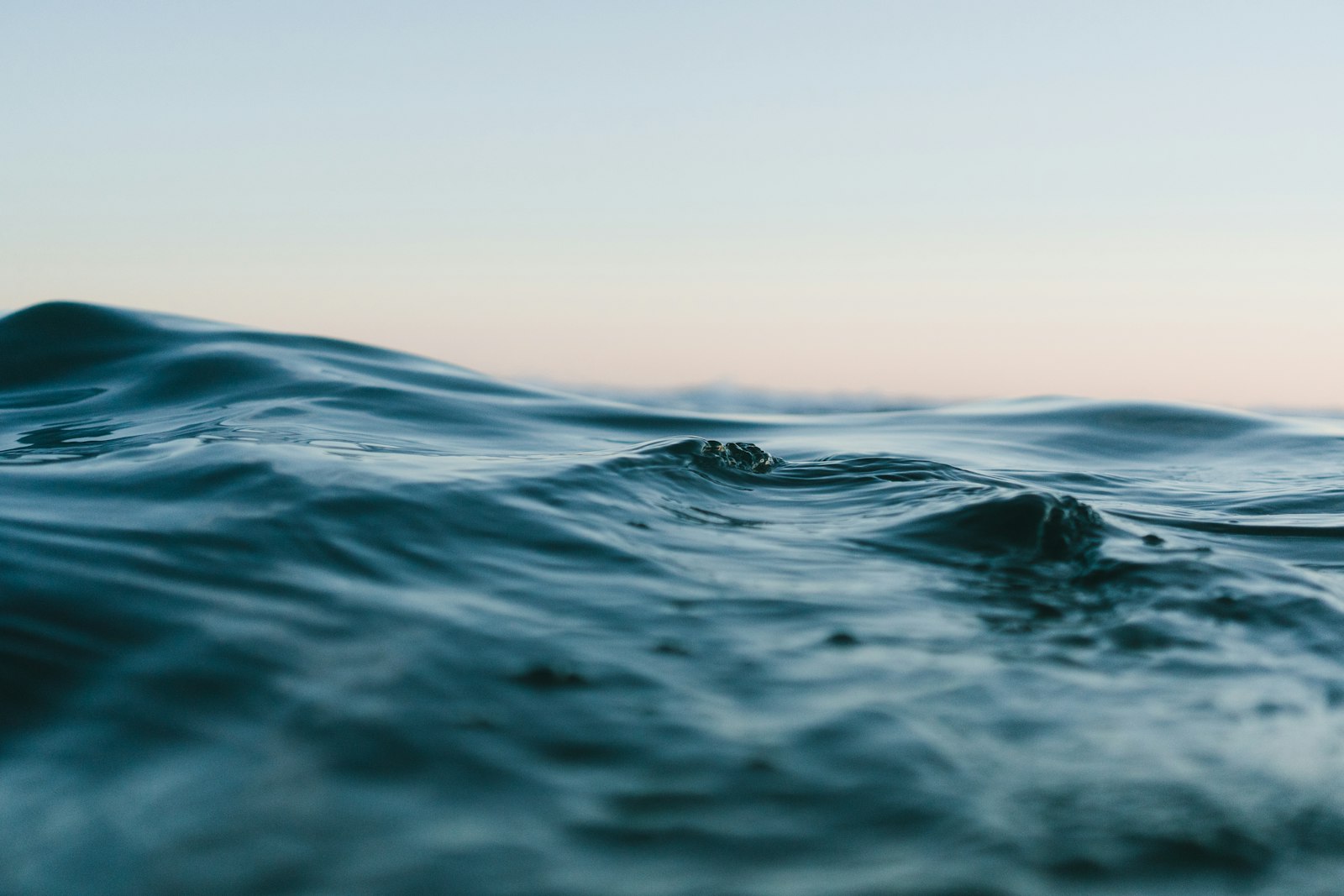 The surface of a calm ocean at first light, navy water under a pale pink horizon.
