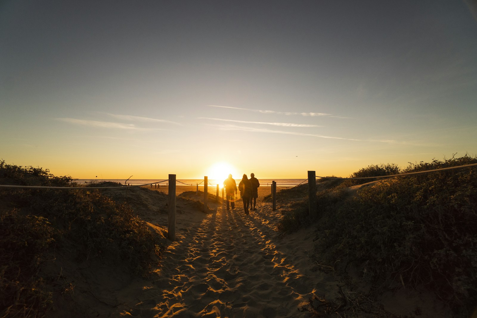 Three figures walking a sandy path through dune grass toward the sea, low golden sun ahead.